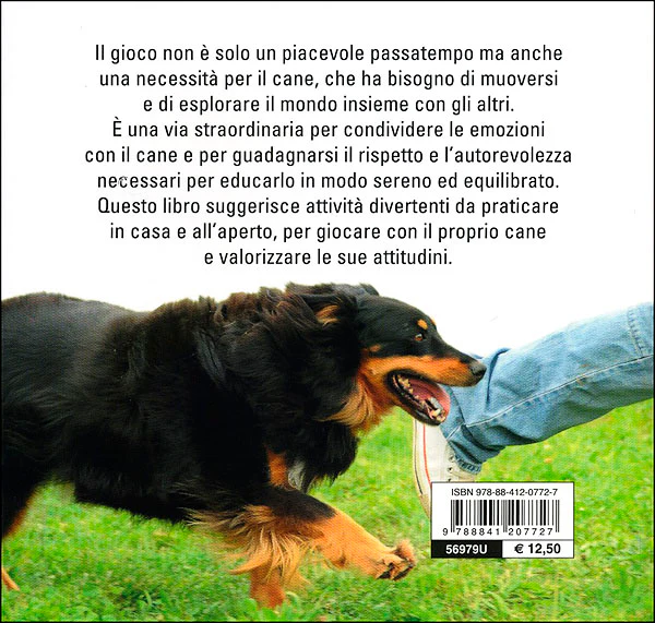 Immagine prodotto 2