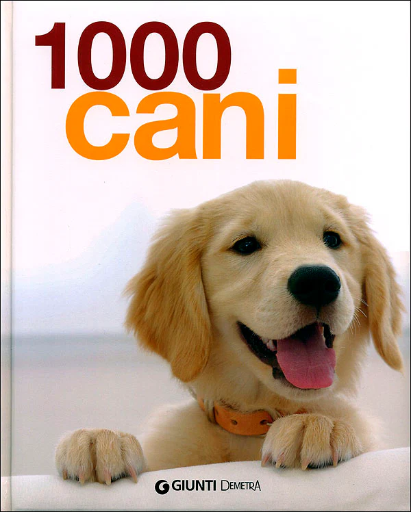 Immagine prodotto 1