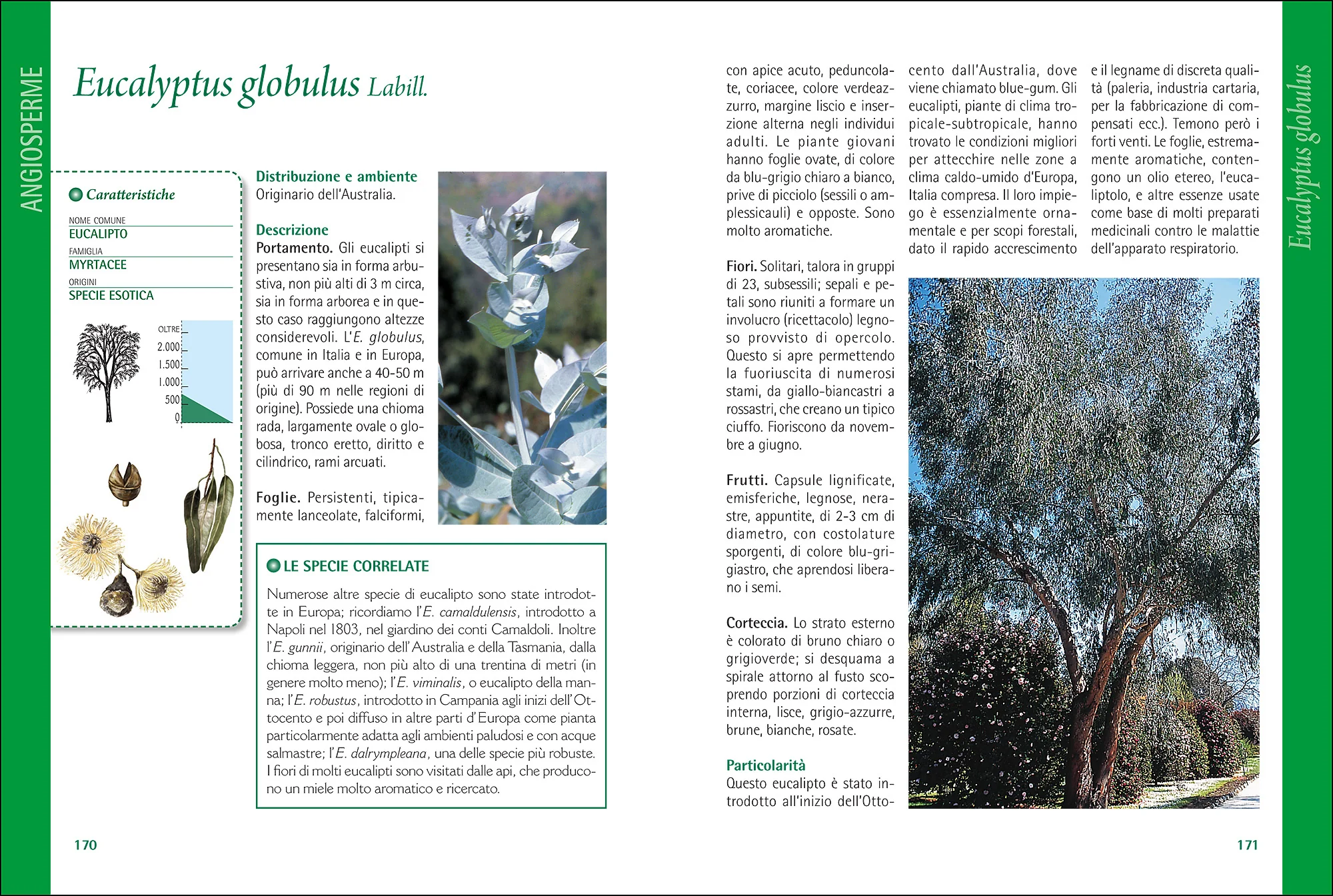 Immagine prodotto 5