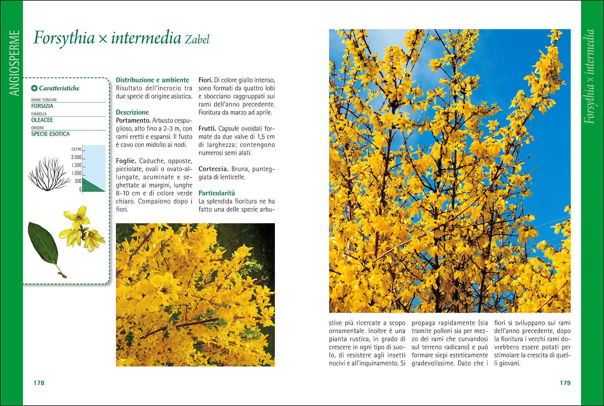 Immagine prodotto 6