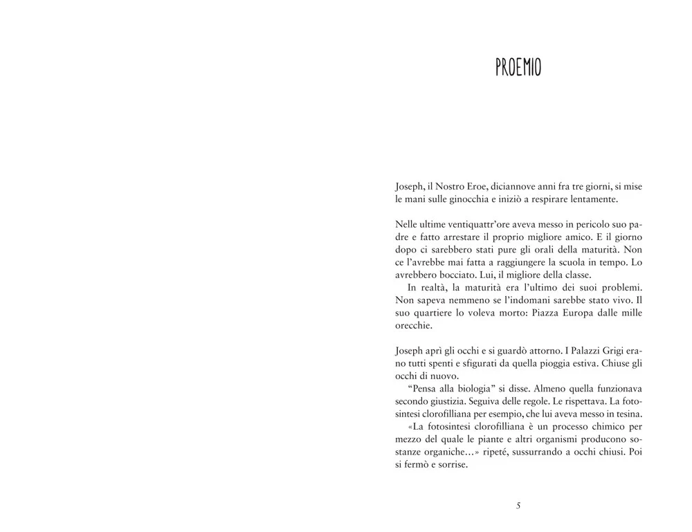 Immagine prodotto 4