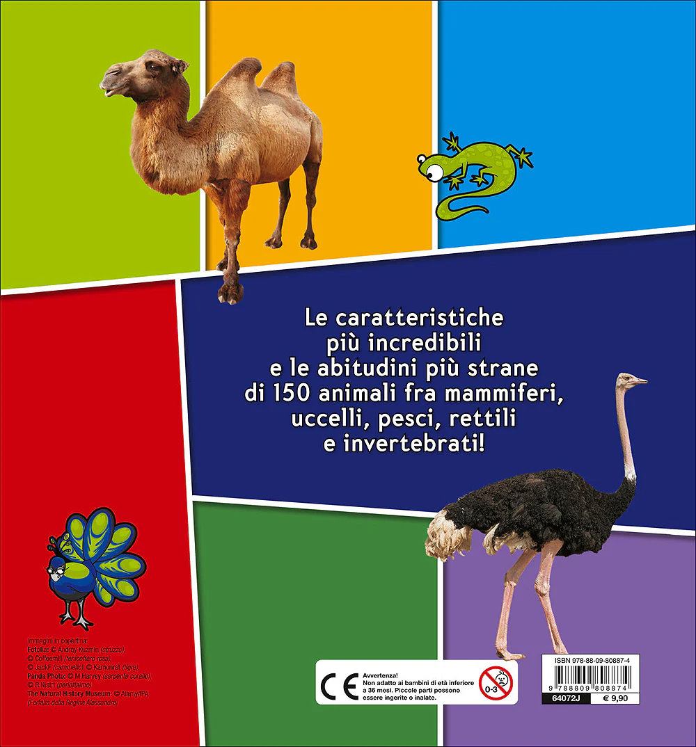 Immagine prodotto 2