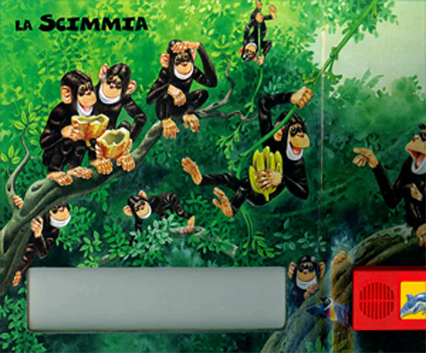 Immagine prodotto 5