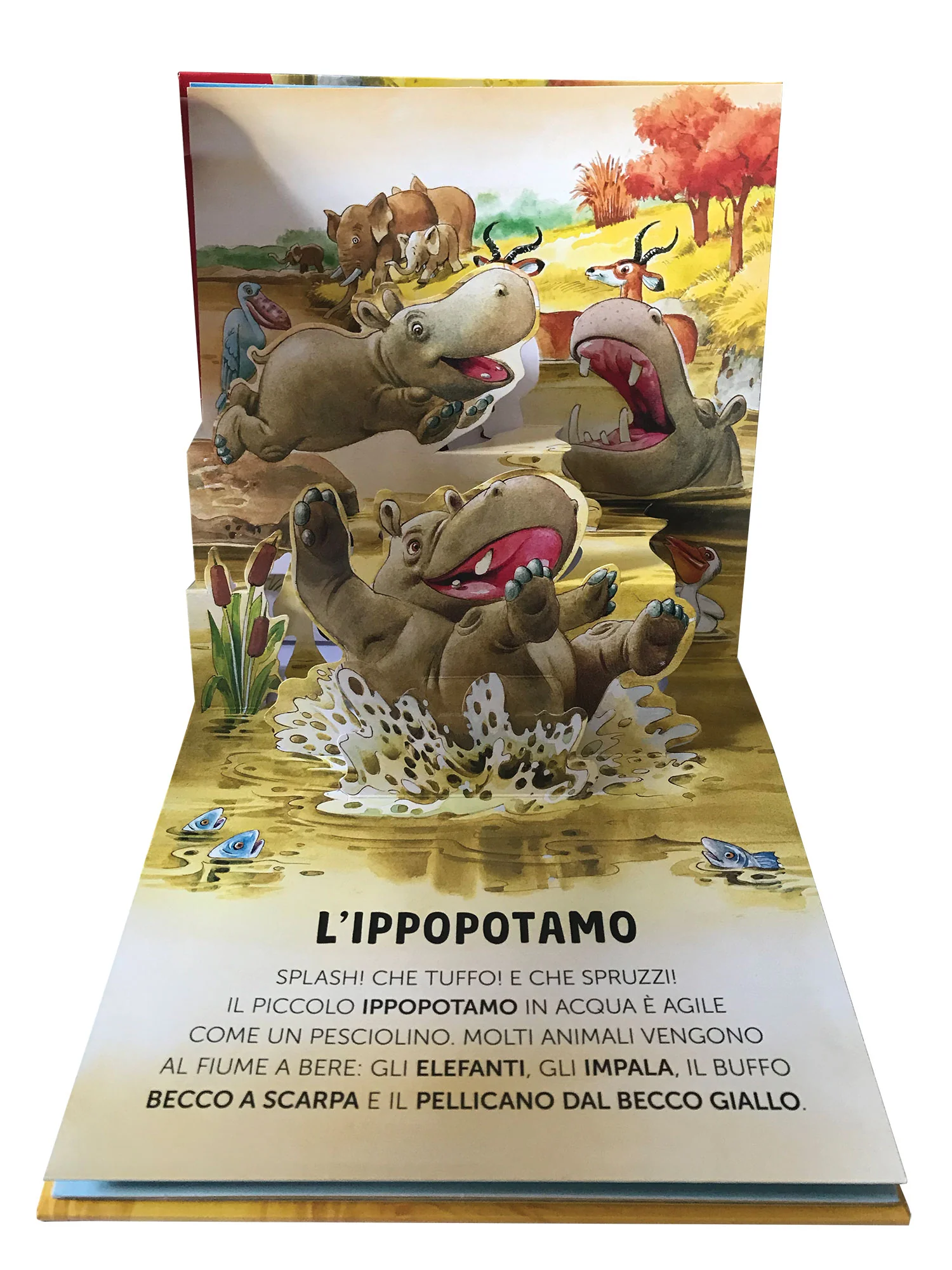 Immagine prodotto 4