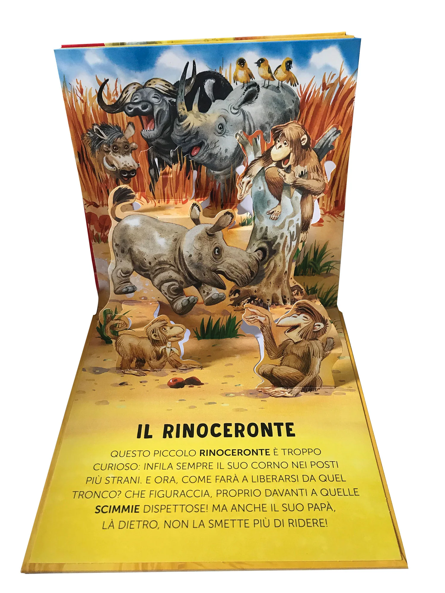 Immagine prodotto 5