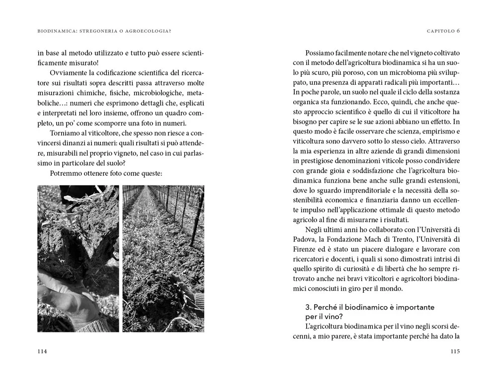 Immagine prodotto 6