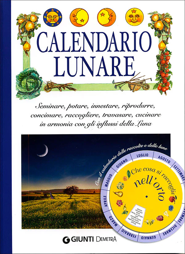 Immagine prodotto 1