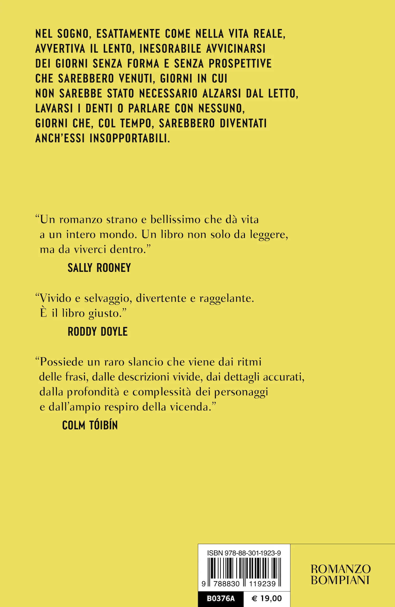 Immagine prodotto 2
