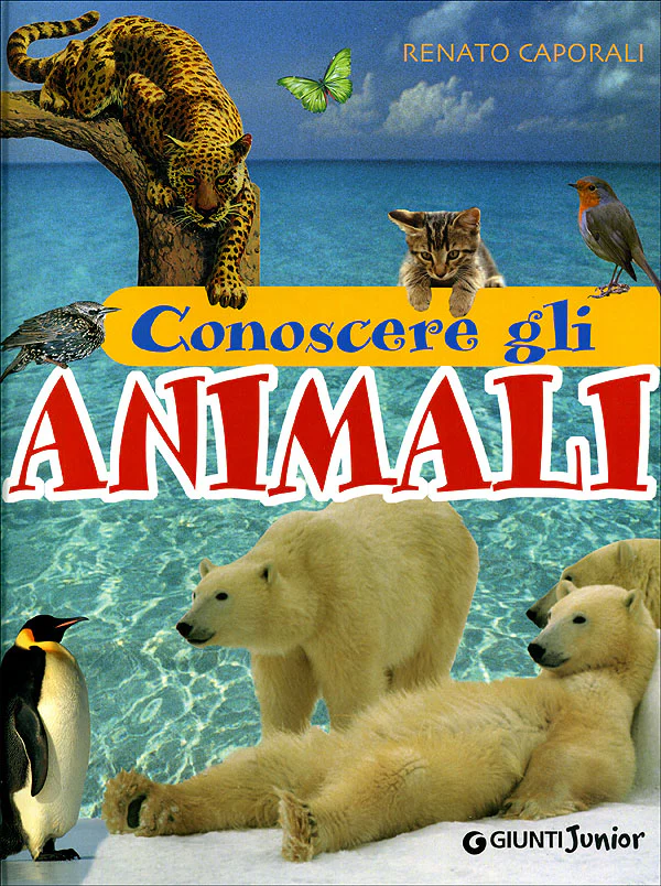 Immagine prodotto 1