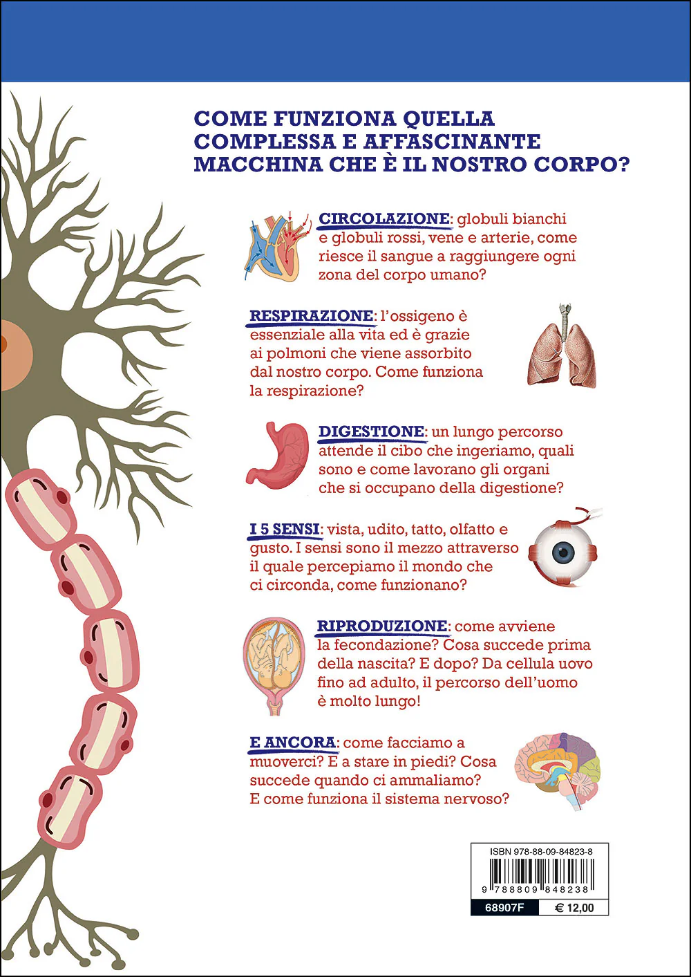 Immagine prodotto 2