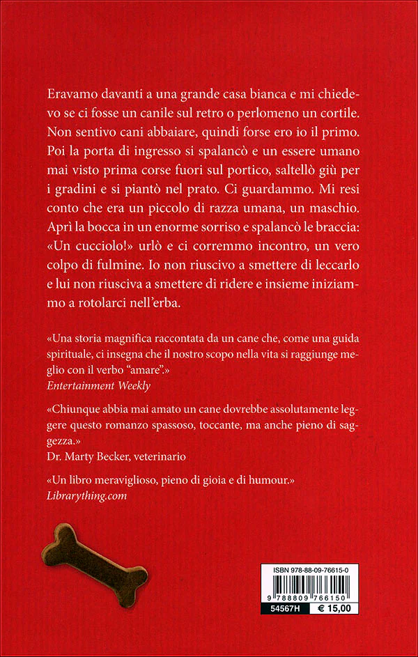 Immagine prodotto 2