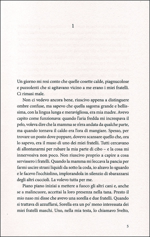 Immagine prodotto 4