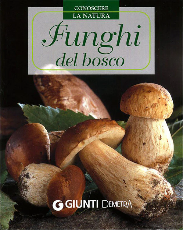 Immagine prodotto 1