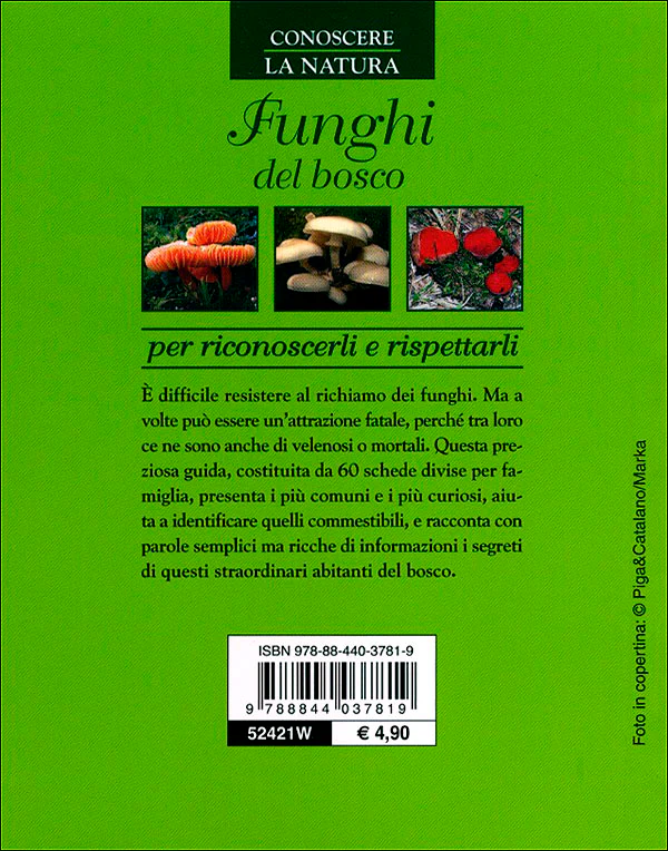 Immagine prodotto 2