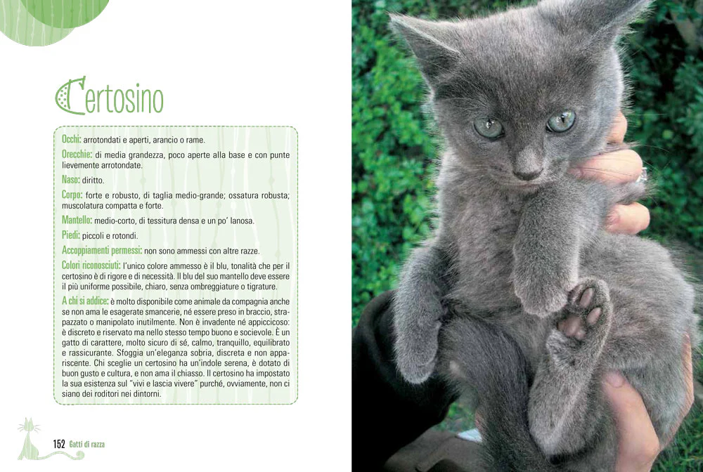 Immagine prodotto 5