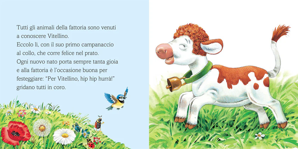 Immagine prodotto 4