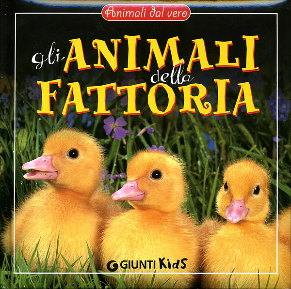 Immagine prodotto 1