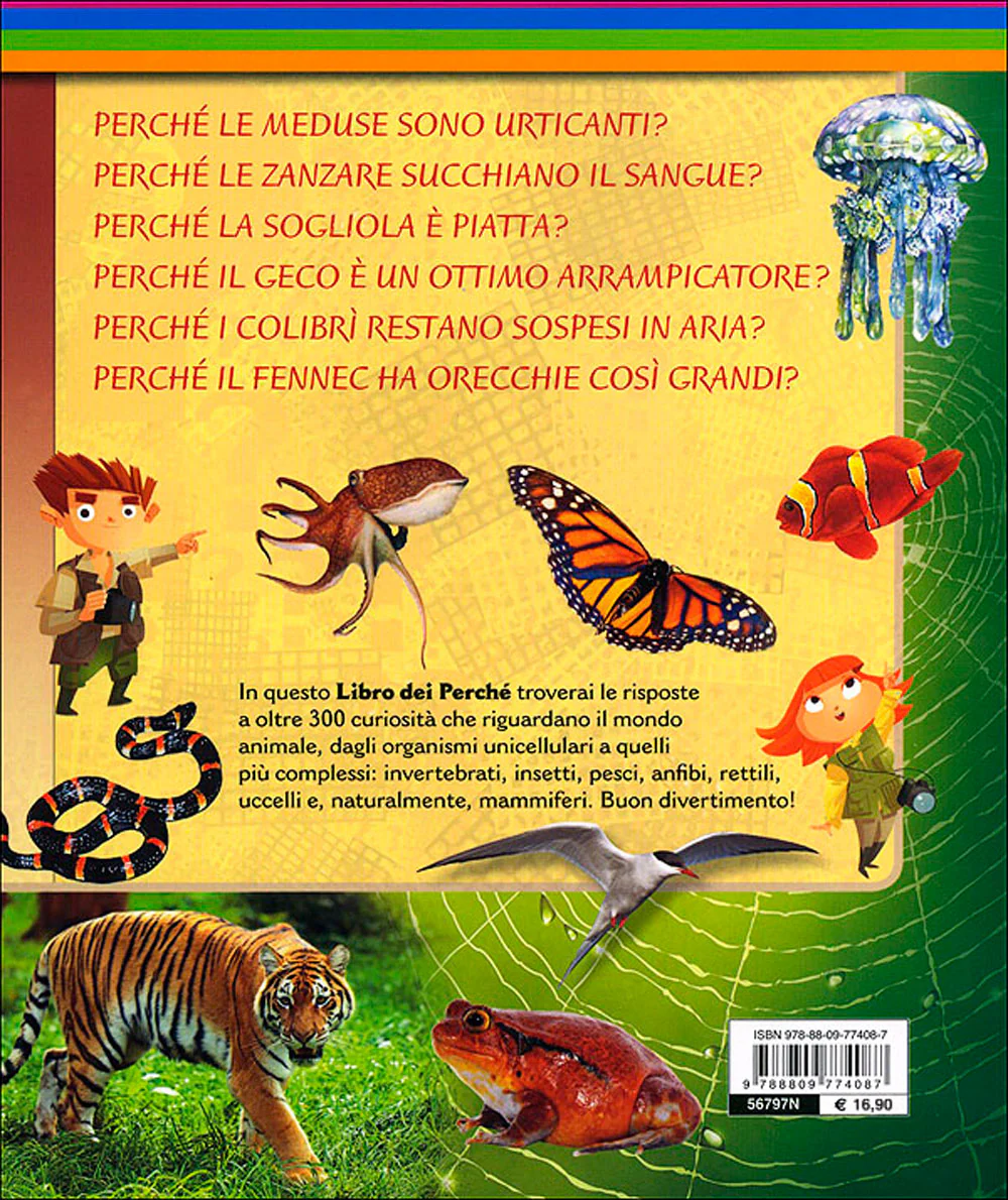 Immagine prodotto 2