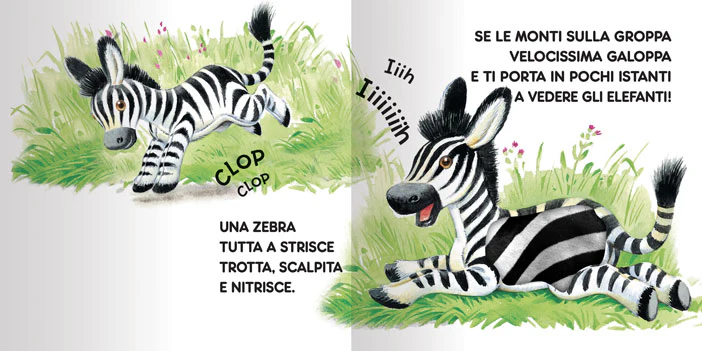 Immagine prodotto 3