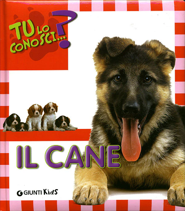 Immagine prodotto 1