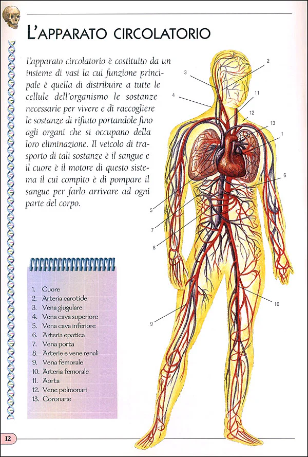 Immagine prodotto 3