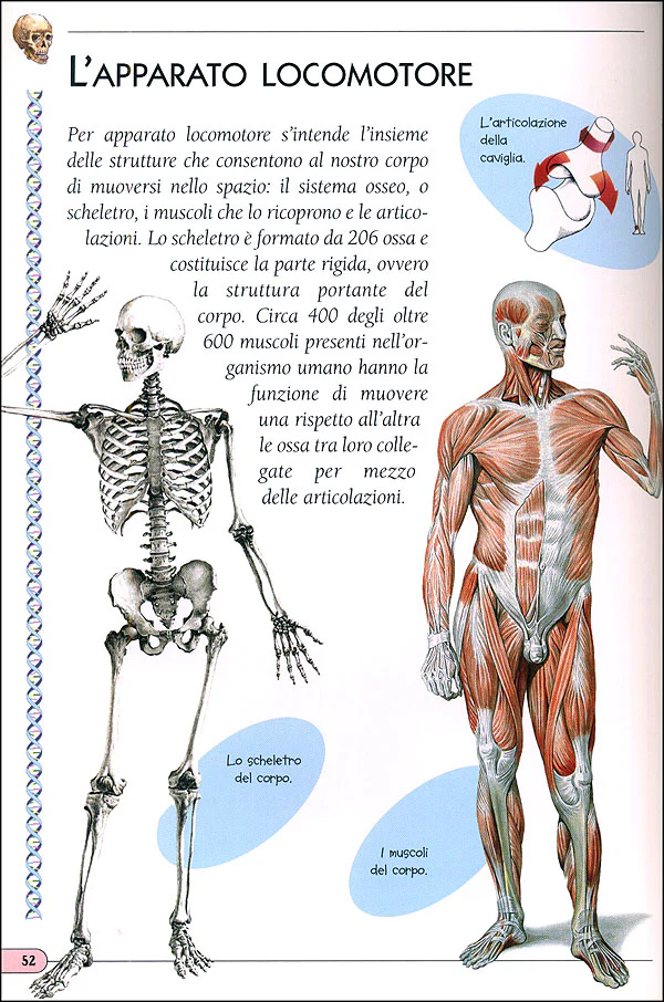 Immagine prodotto 4