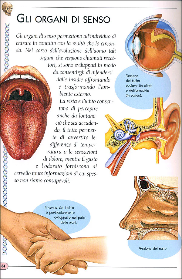 Immagine prodotto 5