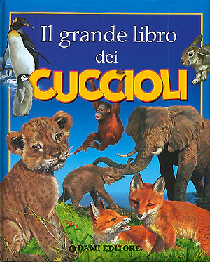 Immagine prodotto 1