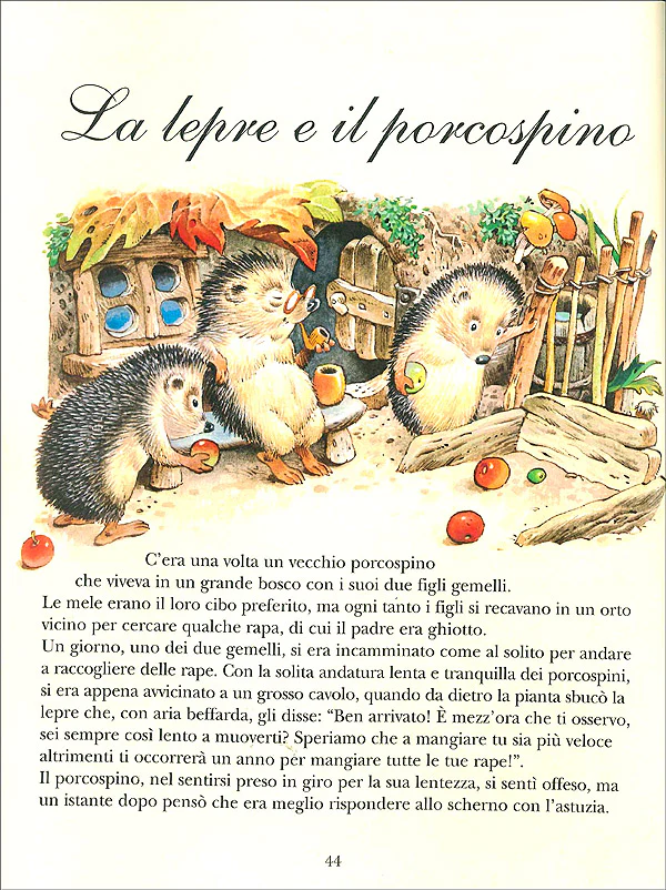 Immagine prodotto 4