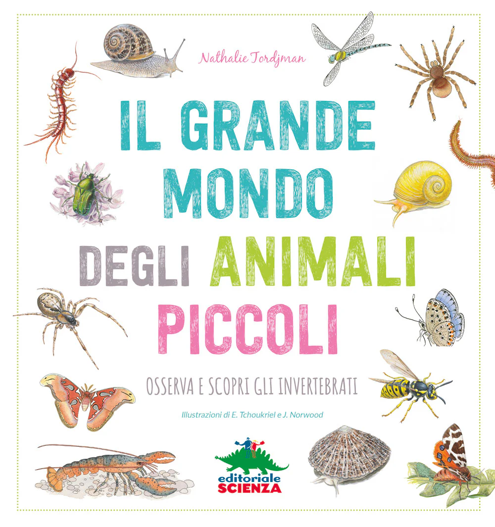 Immagine prodotto 1