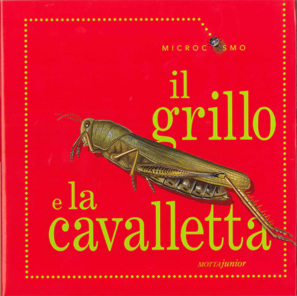 Immagine prodotto 1
