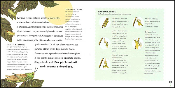 Immagine prodotto 3