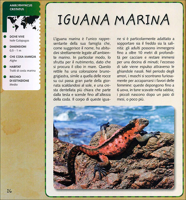 Immagine prodotto 3