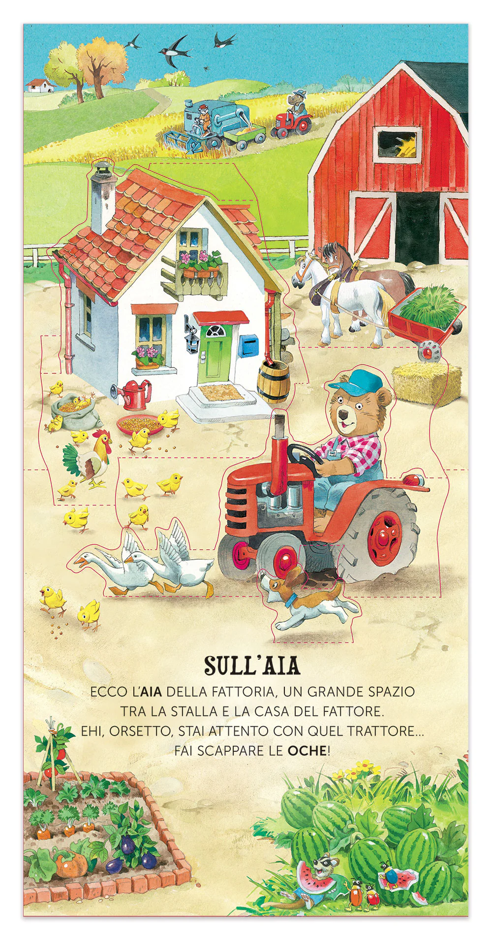 Immagine prodotto 5