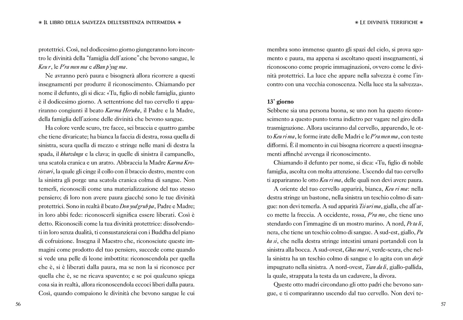 Immagine prodotto 5