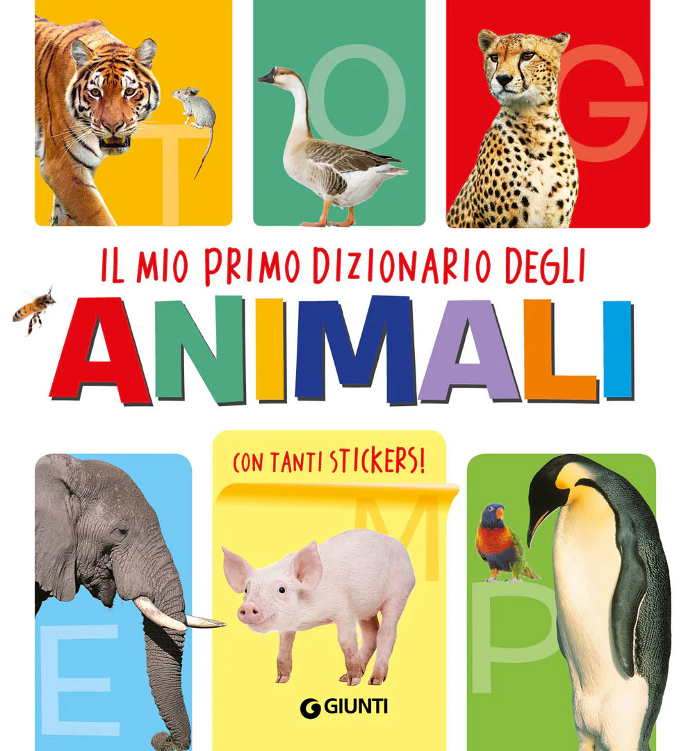 Immagine prodotto 1