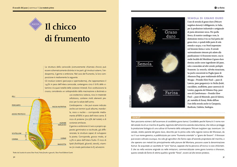 Immagine prodotto 4