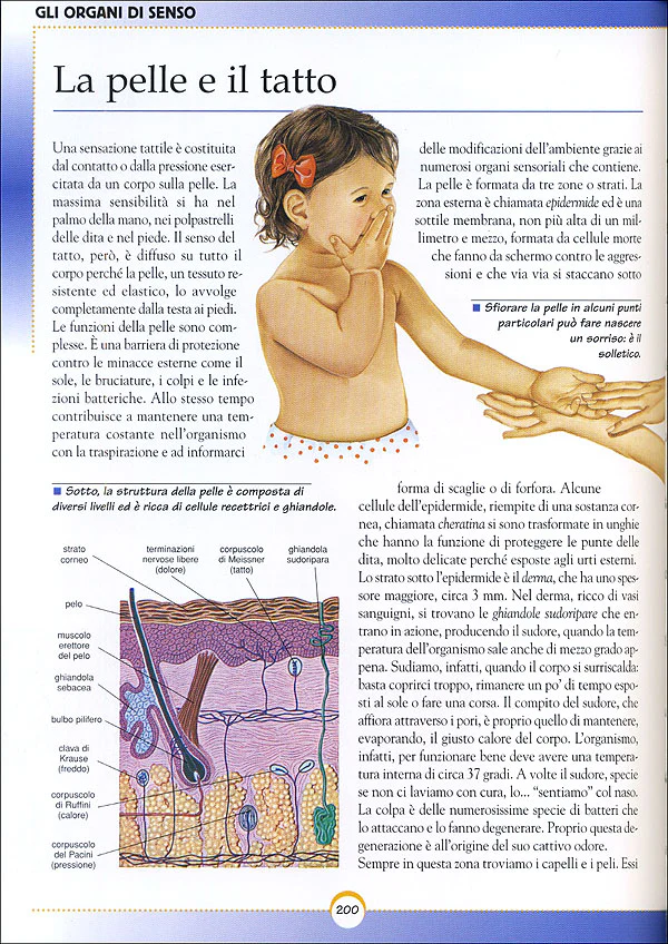 Immagine prodotto 5