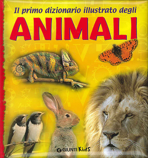 Immagine prodotto 1