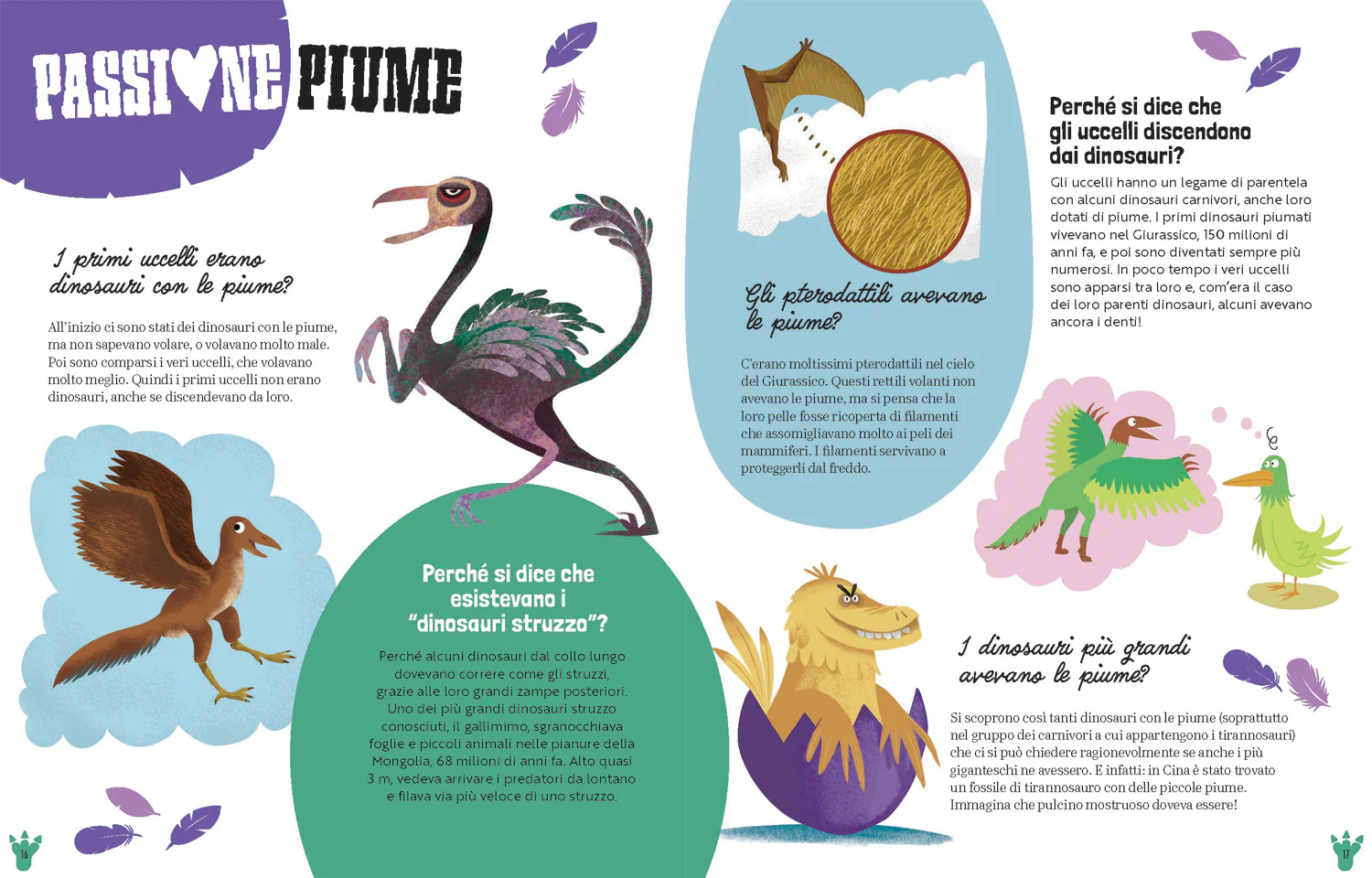 Immagine prodotto 5