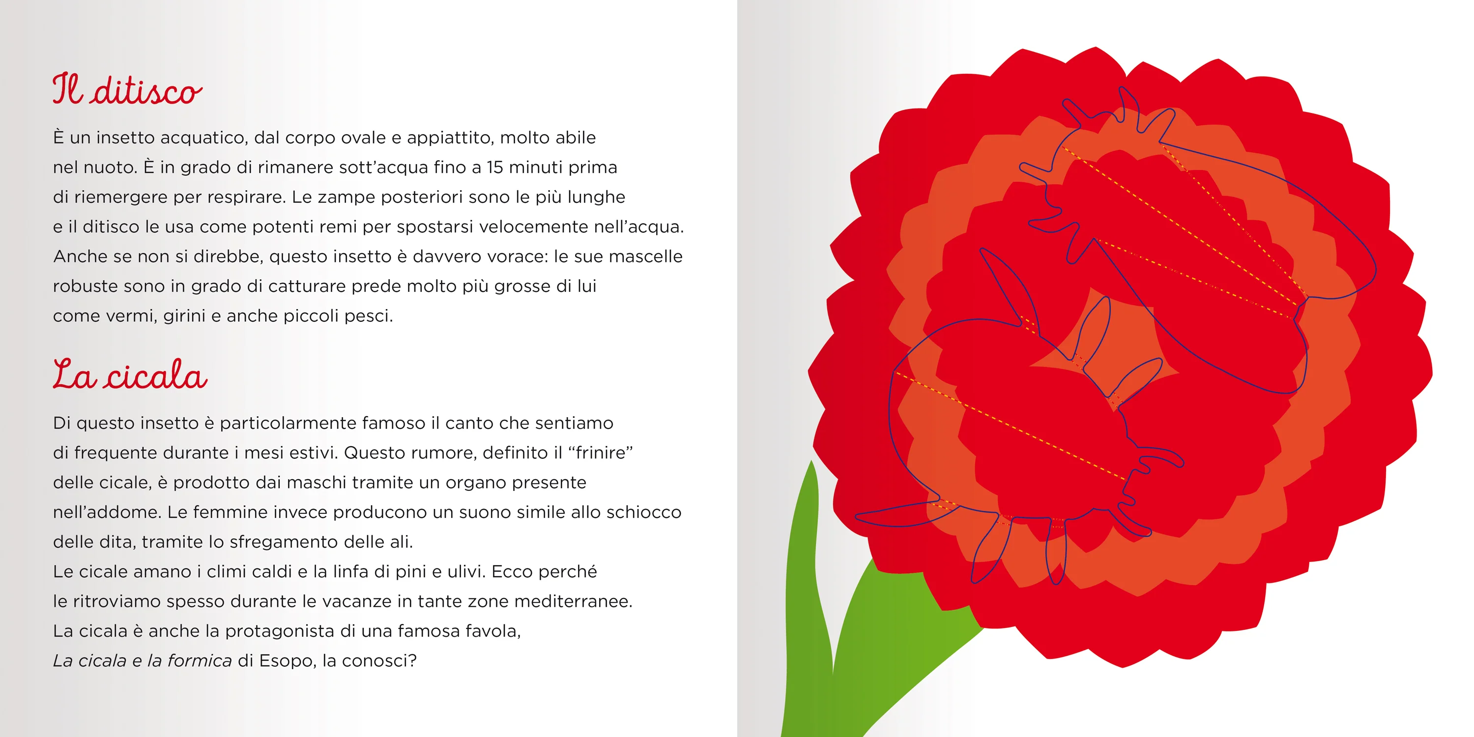 Immagine prodotto 5
