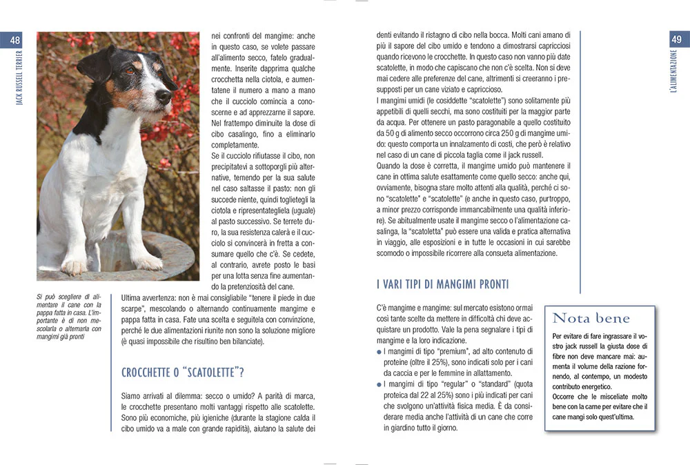 Immagine prodotto 5