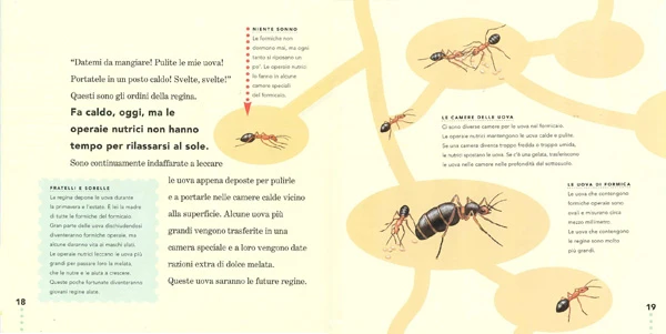 Immagine prodotto 3