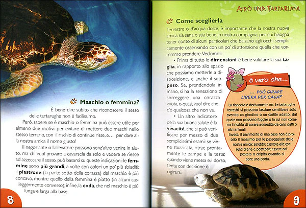 Immagine prodotto 4
