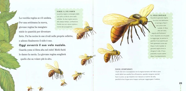 Immagine prodotto 3