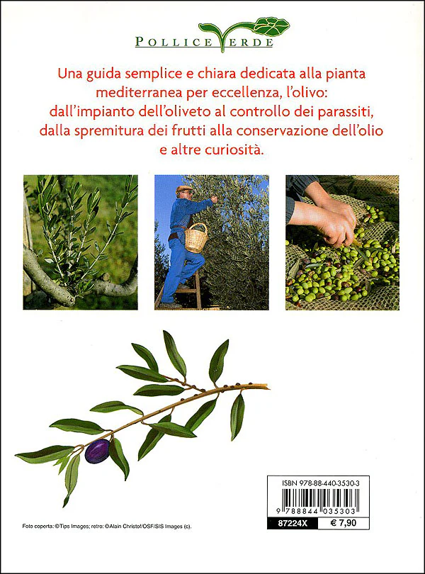 Immagine prodotto 2