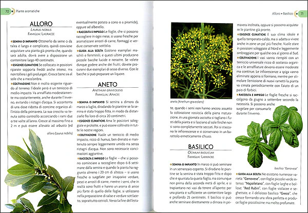 Immagine prodotto 3