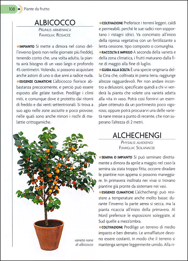 Immagine prodotto 3