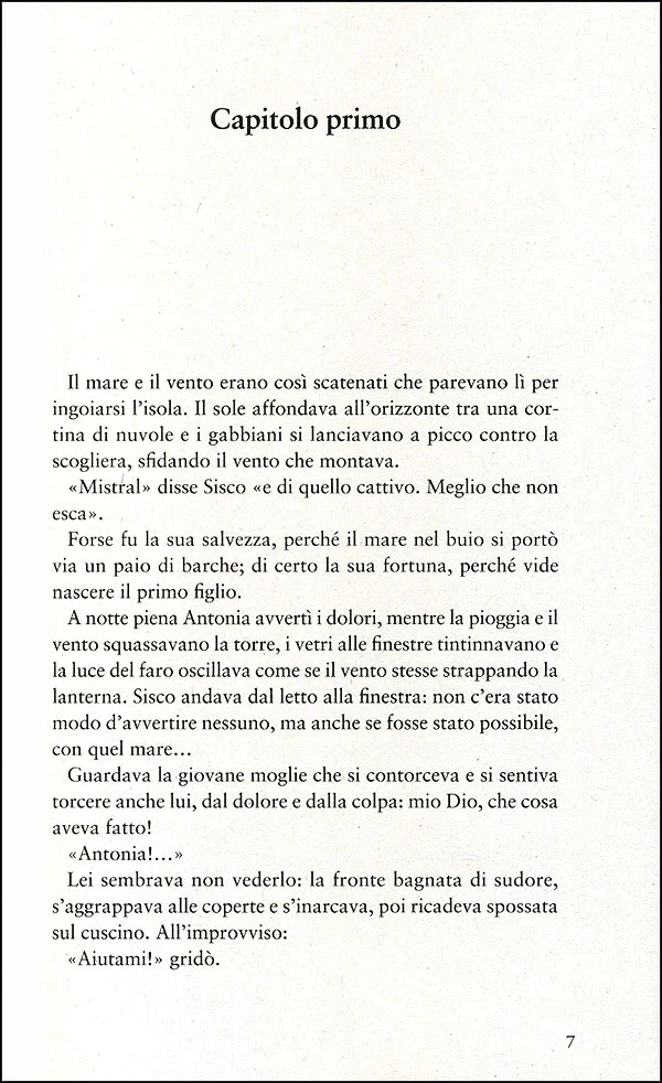 Immagine prodotto 4