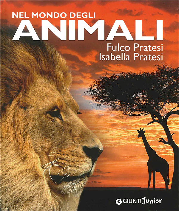 Immagine prodotto 1